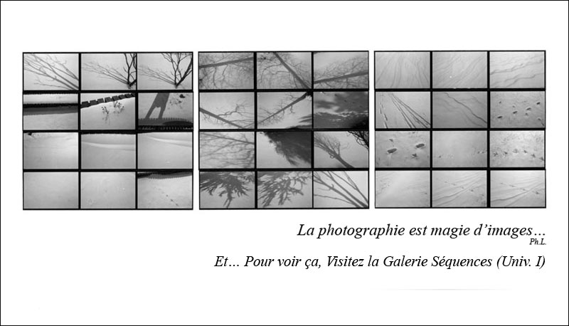 Actualit�s Philippe Lavialle